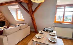Duplex Au Coeur De Turckheim, 10 Min De Colmar Et Place De Parking